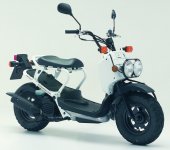 2006 Honda Zoomer photo